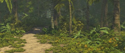 forest4.jpg